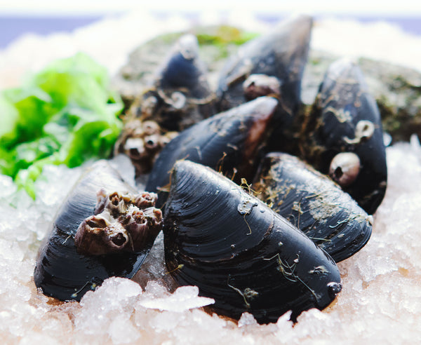 mejillones - Comprar marisco gallego a domicilio