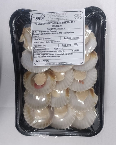 Volandeira atlántica